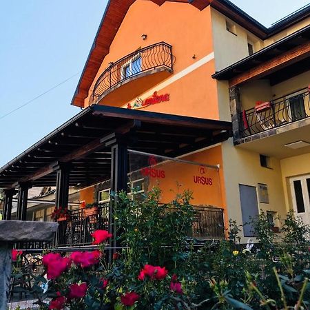 Pensiunea Montana Borsa Mm Băile Borşa Εξωτερικό φωτογραφία