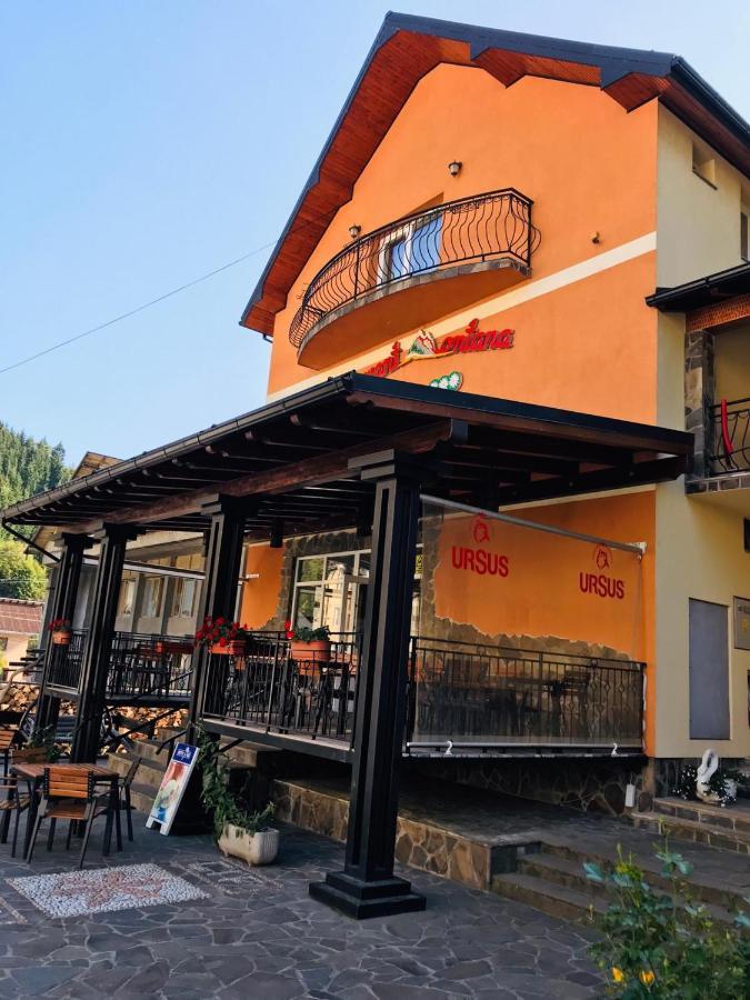 Pensiunea Montana Borsa Mm Băile Borşa Εξωτερικό φωτογραφία