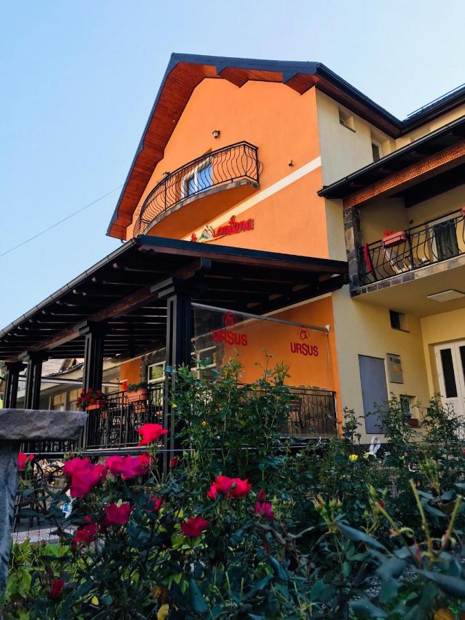 Pensiunea Montana Borsa Mm Băile Borşa Εξωτερικό φωτογραφία
